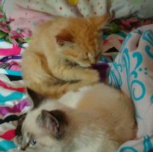 Meet your Posher, Lily